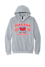 Load image into Gallery viewer, SOFTSTYLE HOODED SWEATSHIRT (SPORT GREY)